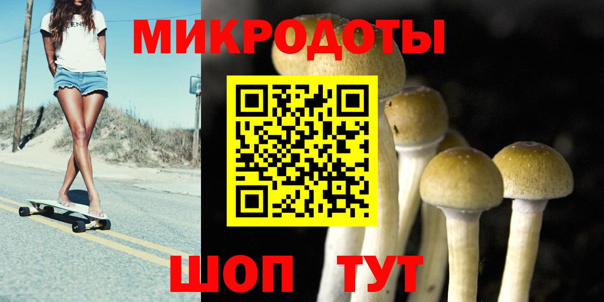 Галлюциногенные грибы прущие грибы Верхняя Салда